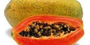 Fresh Papaya