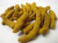 Dry Turmerics