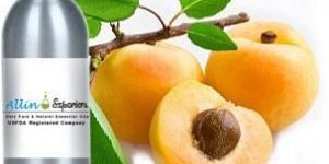 Apricot Oil