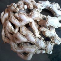 Dry Ginger