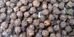 Black Pepper Seeds