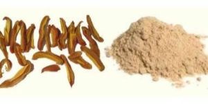 Dried Mango Powder
