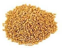 Yellow Mustard Seeds