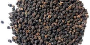 Black Pepper Seeds