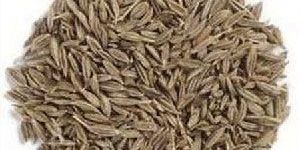 Cumin Seeds