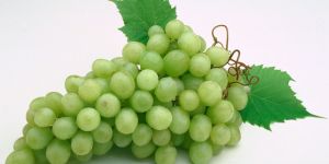 Fresh Grapes