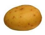 Potato