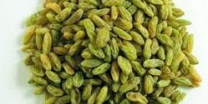 Green Raisin