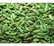 Fennel Seeds