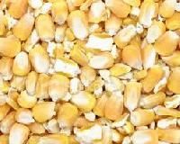 Dried Corn