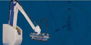 Fuji Ace Robotic Palletizer
