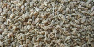 Ajwain Seeds