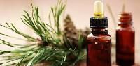 BOTANICAL EXTRACT