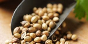 Coriander Seed