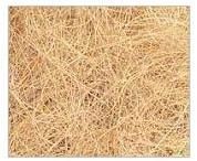 Coir Fibre