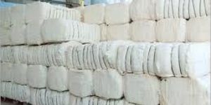 Cotton Bale