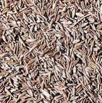 Cumin Seed Oil