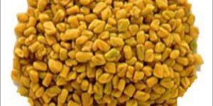 Premium Quality Fenugreek Seeds