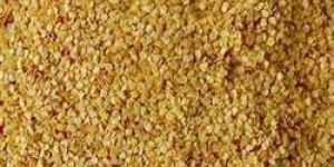 Chilli Seeds