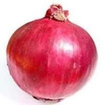 Fresh Onion