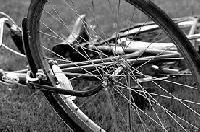 Bicycle Spoke