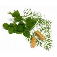 Herbal Dietary Supplements
