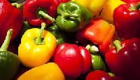 Color Capsicum