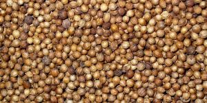 Coriander Seeds