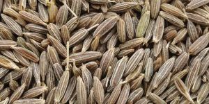 Cumin Seeds