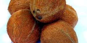 Fully Husked Coconut