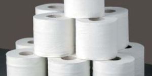 Toilet Paper Rolls