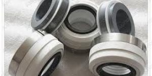 PTFE Mechanical Seal
