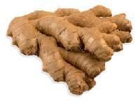 Organic Ginger