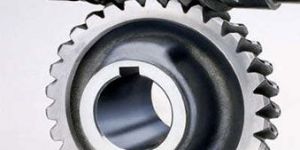 Worm Gears