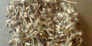 Stylo Hamata Grass Seed
