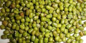 Green Mung Beans