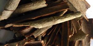 Cinnamon Bark