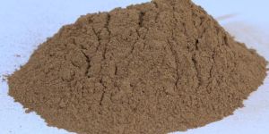 Jamun Seed Powder