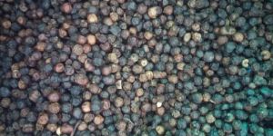 Black Pepper(Piper Nigrum)