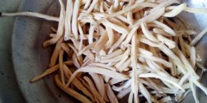 Safed Musli Root
