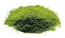 Wheatgrass Powder