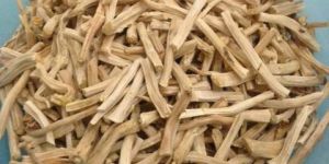 Dried Shatavari Root