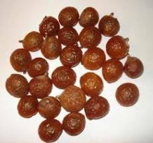 Soapnut Fruit
