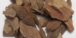 Terminalia Arjuna( Arjuna)