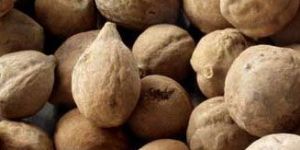 Terminalia Bellirica