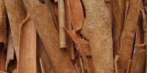Cinnamon