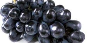 Black Grapes