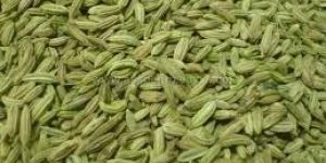 Fennel Seeds