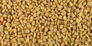 Fenugreek Seeds