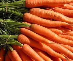 Fresh Carrot